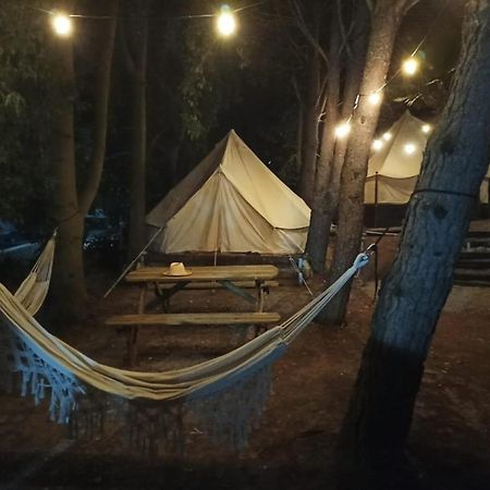 Bungalows Y Glamping Medina Sidonia Εξωτερικό φωτογραφία