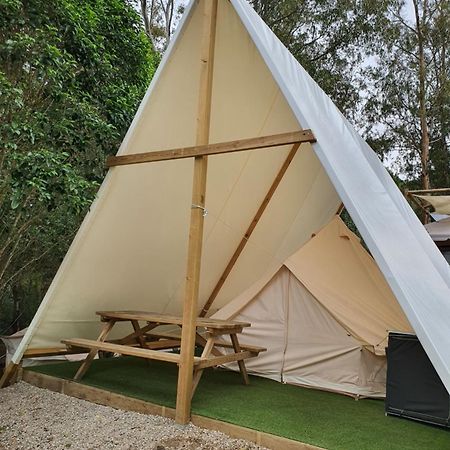 Bungalows Y Glamping Medina Sidonia Εξωτερικό φωτογραφία