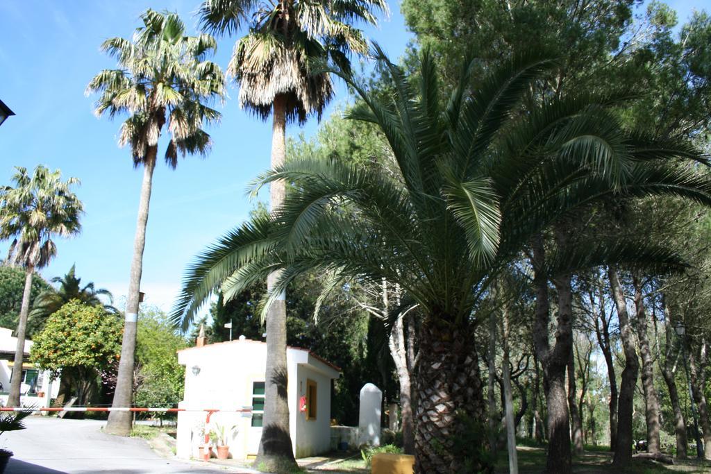 Bungalows Y Glamping Medina Sidonia Εξωτερικό φωτογραφία